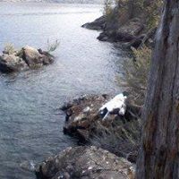 Julie Schubert Photo 13