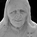 Teresa Whited Photo 20