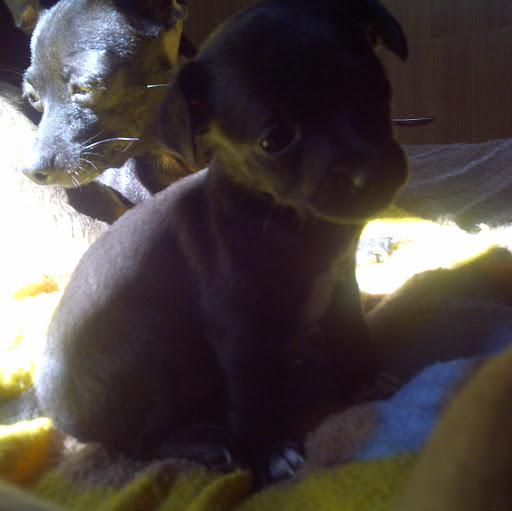 Debora Rodriguez Photo 20