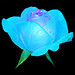 Judy Rose Photo 8