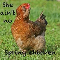 Nancy Kozlowski Photo 10