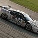 Steven Nicolo Photo 13