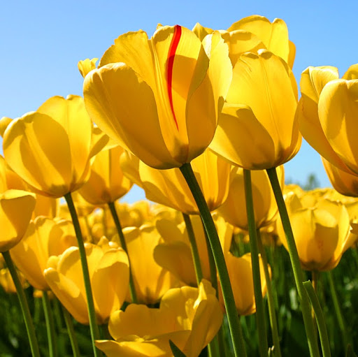 Rhonda Schultz Photo 22