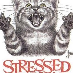 Stacey Henderson Photo 19