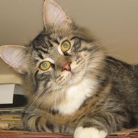 Jeffrey Dean Photo 27 Jeffrey Dean Photo 27