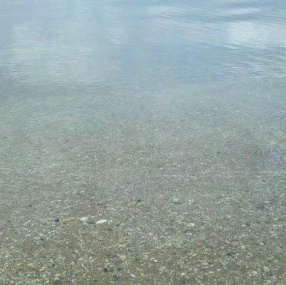 Lawrence May Photo 34