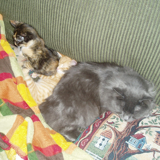 Daniel Thatcher Photo 42