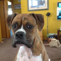 Julie Whitney Photo 12