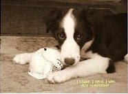 Mary Madison Photo 7