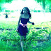 Alex Perkins Photo 19