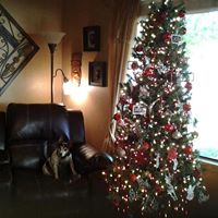 Carol Brinlee Photo 2