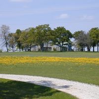 Betty Matthews Photo 19