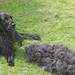 Jayne Combs Photo 13
