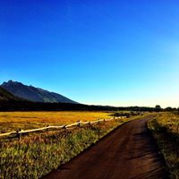 Nanette Nelson Photo 16