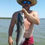 Shane Robinson Photo 35 Shane Robinson Photo 35