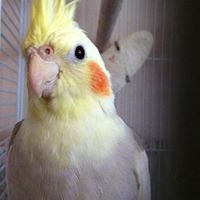 Faye Douglas Photo 13