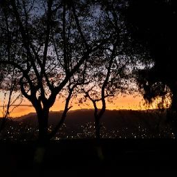 David Herr Photo 21 David Herr Photo 21