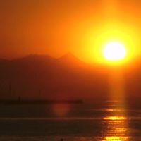 Judith Atkinson Photo 24