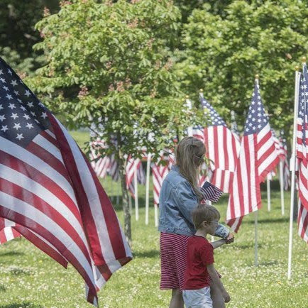 Rene Thompson Photo 14