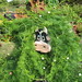 Lisa Naumann Photo 24