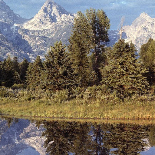 Debra Padilla Photo 12