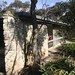 Robin Boyd Photo 19