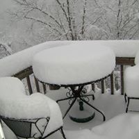 Janet Burgess Photo 11