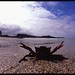 Jeffery Bean Photo 16