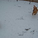 Annie Snow Photo 33