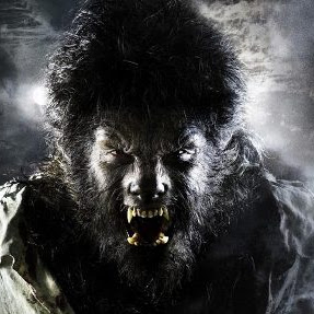 Karl Wolf Photo 18 Karl Wolf Photo 18