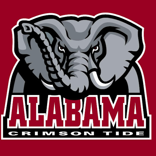 Amy Mitchell Photo 19