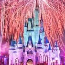 Erica Forbes Photo 4