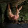 Andrew Conner Photo 35