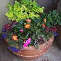Stacy Schafer Photo 9