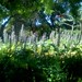 Alice Keck Photo 6