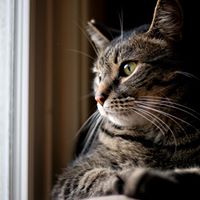 Andrew Mcdaniel Photo 37