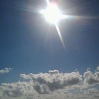 Janice Chase Photo 17