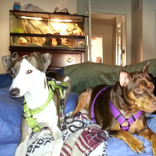 Stacy Bowman Photo 19