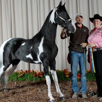 Jennifer Broadhurst Photo 5