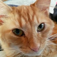 Barbara Jennings Photo 11