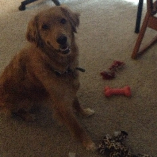 William Mattingly Photo 34