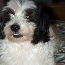 Annette Julian Photo 12