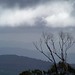 Leonard Weir Photo 6