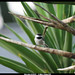 Dorothy Howell Photo 27