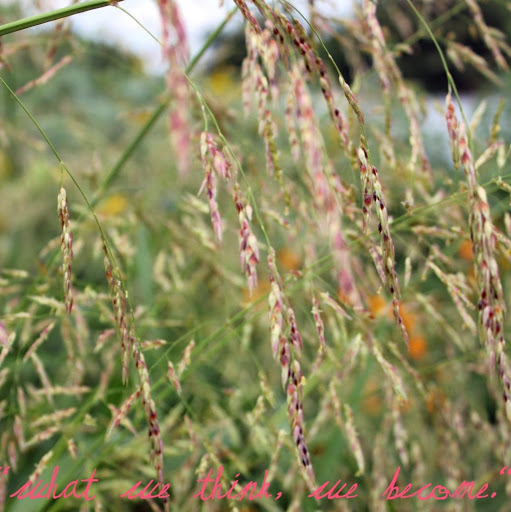 Krystal Allen Photo 12