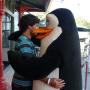Richard Rodriguez Photo 29