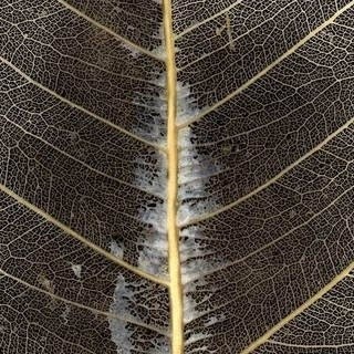 Heidi Schofield Photo 17