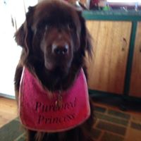 Connie Betts Photo 18