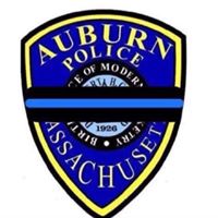 Jillian Rose Photo 31