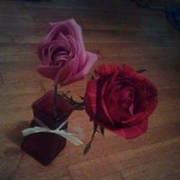 Raymond Norton Photo 17